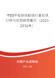 中國平板鋼化玻璃行業(yè)現(xiàn)狀分析與前景趨勢報告(2025-2031年) 中國平板鋼化玻璃行業(yè)現(xiàn)狀分析與前景趨勢報告(2025-2031年)