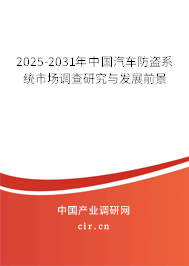 2025-2031年中國(guó)汽車防盜系統(tǒng)市場(chǎng)調(diào)查研究與發(fā)展前景