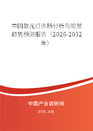 中國散光燈市場分析與前景趨勢預(yù)測報(bào)告（2025-2031年）