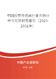 中國視覺傳感器行業(yè)市場分析與前景趨勢報告（2025-2031年）