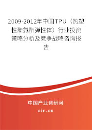 2009-2012年中國TPU（熱塑性聚氨酯彈性體）行業(yè)投資策略分析及競爭戰(zhàn)略咨詢報告
