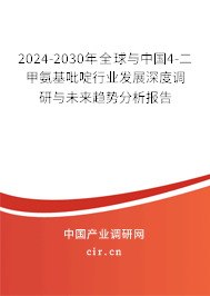 2024-2030年全球與中國(guó)4-二甲氨基吡啶行業(yè)發(fā)展深度調(diào)研與未來趨勢(shì)分析報(bào)告