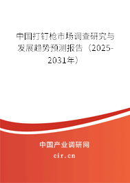 中國打釘槍市場調查研究與發(fā)展趨勢預測報告（2025-2031年）