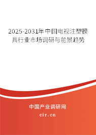 2025-2031年中國(guó)電視注塑模具行業(yè)市場(chǎng)調(diào)研與前景趨勢(shì)