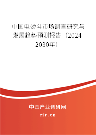 中國電燙斗市場調(diào)查研究與發(fā)展趨勢預(yù)測報告（2024-2030年）