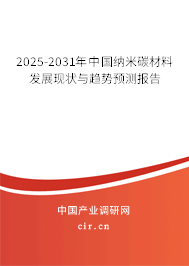 2025-2031年中國納米碳材料發(fā)展現(xiàn)狀與趨勢預(yù)測報告