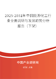 2025-2031年中國能源化工行業(yè)全面調(diào)研與發(fā)展趨勢分析報告（下架）