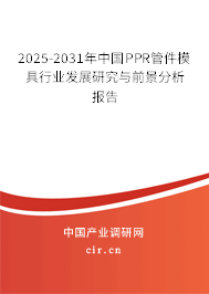 2025-2031年中國(guó)PPR管件模具行業(yè)發(fā)展研究與前景分析報(bào)告
