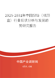 2025-2031年中國(guó)STB（機(jī)頂盒）行業(yè)現(xiàn)狀分析與發(fā)展趨勢(shì)研究報(bào)告