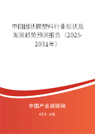 中國團狀模塑料行業(yè)現狀及發(fā)展趨勢預測報告(2025-2031年) 中國團狀模塑料行業(yè)現狀及發(fā)展趨勢預測報告(2025-2031年)