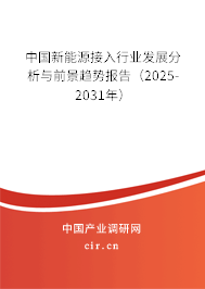 中國新能源接入行業(yè)發(fā)展分析與前景趨勢報(bào)告（2025-2031年）