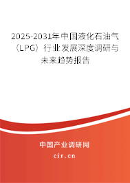 2025-2031年中國液化石油氣(LPG)行業(yè)發(fā)展深度調(diào)研與未來趨勢報告 2025-2031年中國液化石油氣(LPG)行業(yè)發(fā)展深度調(diào)研與未來趨勢報告