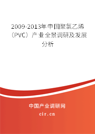 2009-2013年中國聚氯乙烯(PVC)產(chǎn)業(yè)全景調(diào)研及發(fā)展分析 2009-2013年中國聚氯乙烯(PVC)產(chǎn)業(yè)全景調(diào)研及發(fā)展分析