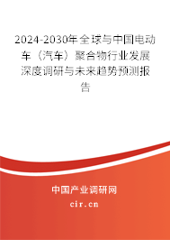 2024-2030年全球與中國(guó)電動(dòng)車(chē)(汽車(chē))聚合物行業(yè)發(fā)展深度調(diào)研與未來(lái)趨勢(shì)預(yù)測(cè)報(bào)告 2024-2030年全球與中國(guó)電動(dòng)車(chē)(汽車(chē))聚合物行業(yè)發(fā)展深度調(diào)研與未來(lái)趨勢(shì)預(yù)測(cè)報(bào)告
