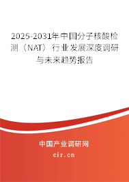 2025-2031年中國分子核酸檢測（NAT）行業(yè)發(fā)展深度調(diào)研與未來趨勢報告