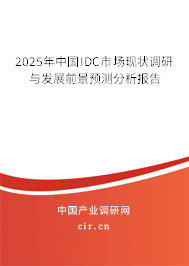 2025年中國IDC市場現(xiàn)狀調(diào)研與發(fā)展前景預(yù)測分析報(bào)告