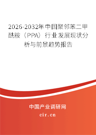 2026-2032年中國聚鄰苯二甲酰胺（PPA）行業(yè)發(fā)展現(xiàn)狀分析與前景趨勢報告