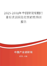 2025-2031年中國聚葡萄糖行業(yè)現(xiàn)狀調(diào)研及前景趨勢預(yù)測報告