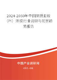 2024-2030年中國(guó)聚酰亞胺（PI）薄膜行業(yè)調(diào)研與前景趨勢(shì)報(bào)告