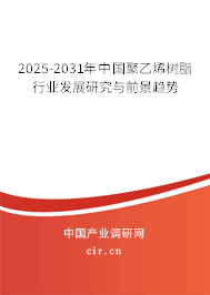 2025-2031年中國聚乙烯樹脂行業(yè)發(fā)展研究與前景趨勢 2025-2031年中國聚乙烯樹脂行業(yè)發(fā)展研究與前景趨勢