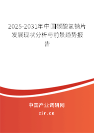 2025-2031年中國碳酸氫鈉片發(fā)展現(xiàn)狀分析與前景趨勢報(bào)告