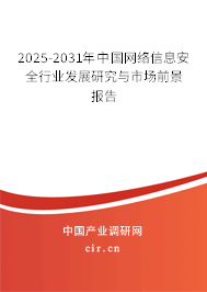 2025-2031年中國網(wǎng)絡(luò)信息安全行業(yè)發(fā)展研究與市場前景報告
