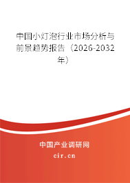 中國小燈泡行業(yè)市場分析與前景趨勢報告(2026-2032年) 中國小燈泡行業(yè)市場分析與前景趨勢報告(2026-2032年)