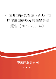 中國地理信息系統(tǒng)（GIS）市場深度調(diào)研及發(fā)展前景分析報告（2025-2031年）