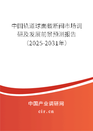 中國(guó)軌道球面截?cái)嚅y市場(chǎng)調(diào)研及發(fā)展前景預(yù)測(cè)報(bào)告（2025-2031年）