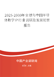 2025-2030年全球與中國半導(dǎo)體數(shù)字IP行業(yè)調(diào)研及發(fā)展前景報告