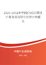 2025-2031年中國CNG壓縮機行業(yè)發(fā)展調(diào)研與前景分析報告