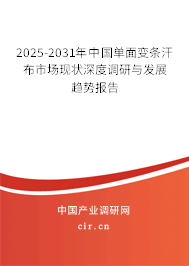 2025-2031年中國單面變條汗布市場現(xiàn)狀深度調(diào)研與發(fā)展趨勢報告