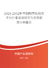 2026-2032年中國地方投融資平臺行業(yè)發(fā)展研究與前景趨勢分析報告