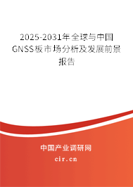 2025-2031年全球與中國GNSS板市場分析及發(fā)展前景報告