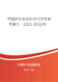 中國(guó)拉鎖發(fā)展現(xiàn)狀與前景趨勢(shì)報(bào)告（2025-2031年）