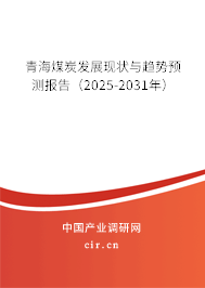 青海煤炭發(fā)展現(xiàn)狀與趨勢預測報告(2025-2031年) 青海煤炭發(fā)展現(xiàn)狀與趨勢預測報告(2025-2031年)