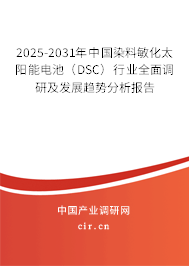 2025-2031年中國(guó)染料敏化太陽(yáng)能電池(DSC)行業(yè)全面調(diào)研及發(fā)展趨勢(shì)分析報(bào)告 2025-2031年中國(guó)染料敏化太陽(yáng)能電池(DSC)行業(yè)全面調(diào)研及發(fā)展趨勢(shì)分析報(bào)告