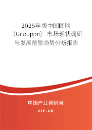 2025年版中國團購（Groupon）市場現(xiàn)狀調(diào)研與發(fā)展前景趨勢分析報告