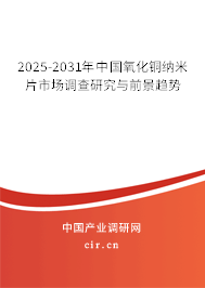 2025-2031年中國(guó)氧化銅納米片市場(chǎng)調(diào)查研究與前景趨勢(shì)
