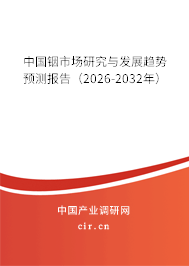 中國銦市場研究與發(fā)展趨勢預測報告（2026-2032年）