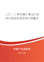 二〇一二年輪胎行業(yè)運行現(xiàn)狀分析及投資前景分析報告 二〇一二年輪胎行業(yè)運行現(xiàn)狀分析及投資前景分析報告