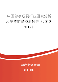 中國健身玩具行業(yè)研究分析及投資前景預測報告（2012-2017）