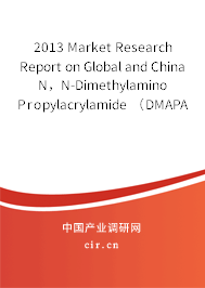 2013 Market Research Report on Global and China N，N-Dimethylamino Propylacrylamide （DMAPAA） Industry