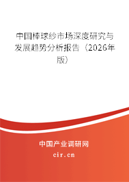 中國(guó)棒球紗市場(chǎng)深度研究與發(fā)展趨勢(shì)分析報(bào)告（2026年版）