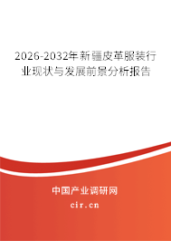 2026-2032年新疆皮革服裝行業(yè)現狀與發(fā)展前景分析報告