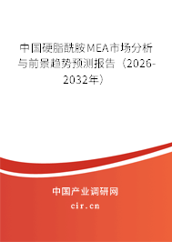中國硬脂酰胺MEA市場分析與前景趨勢預(yù)測報告（2024-2030年）