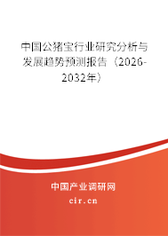 中國公豬寶行業(yè)研究分析與發(fā)展趨勢預(yù)測報告（2026-2032年）
