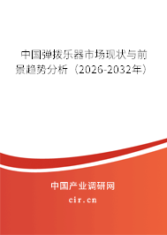 中國彈撥樂器市場現(xiàn)狀與前景趨勢分析（2026-2032年）
