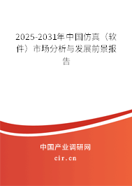 2025-2031年中國仿真（軟件）市場分析與發(fā)展前景報告