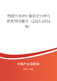 中國干體爐行業(yè)研究分析與趨勢預測報告（2025-2031年）